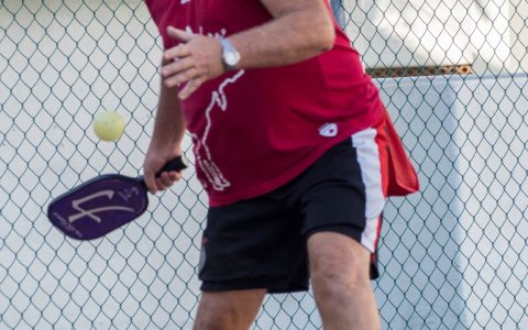 Pickleball libre - Printemps 2026