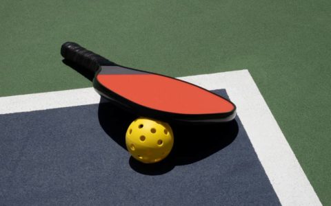 Initiation Pickleball - Printemps 2026