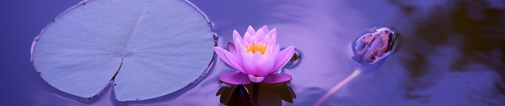 Loisirs et événements