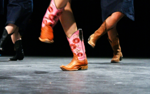 Danse en ligne country