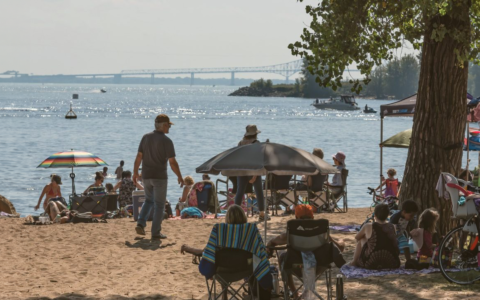 6 Summer Activities to Enjoy with Your Grandchildren