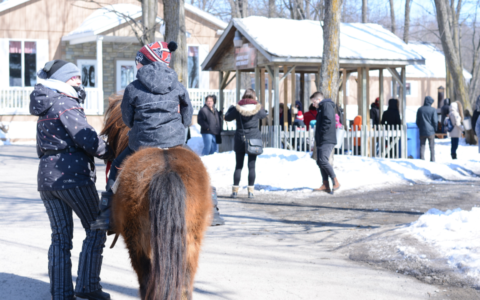 COMPLET - Cabane à sucre D'Amours